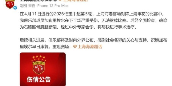 九游官网-海港确认外援加布里埃尔髌腱断裂，但赛季初被雪藏的梅伦多能回归吗？